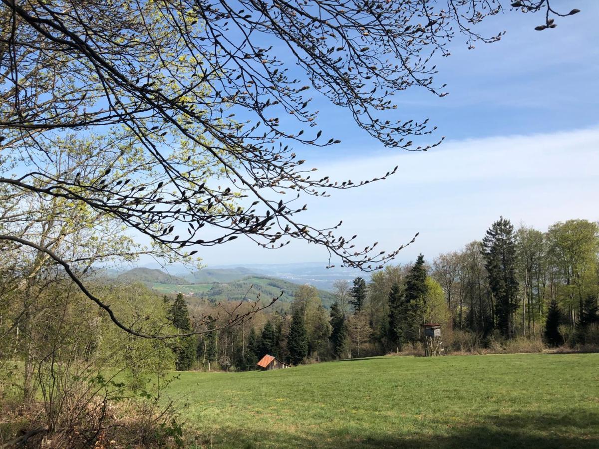 Gaestezimmer Erlinsbach Bei Aarau, Zwischen Aare Und Jura Niedererlinsbach Esterno foto